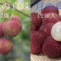 「太陽」と「月」オンラインショップ